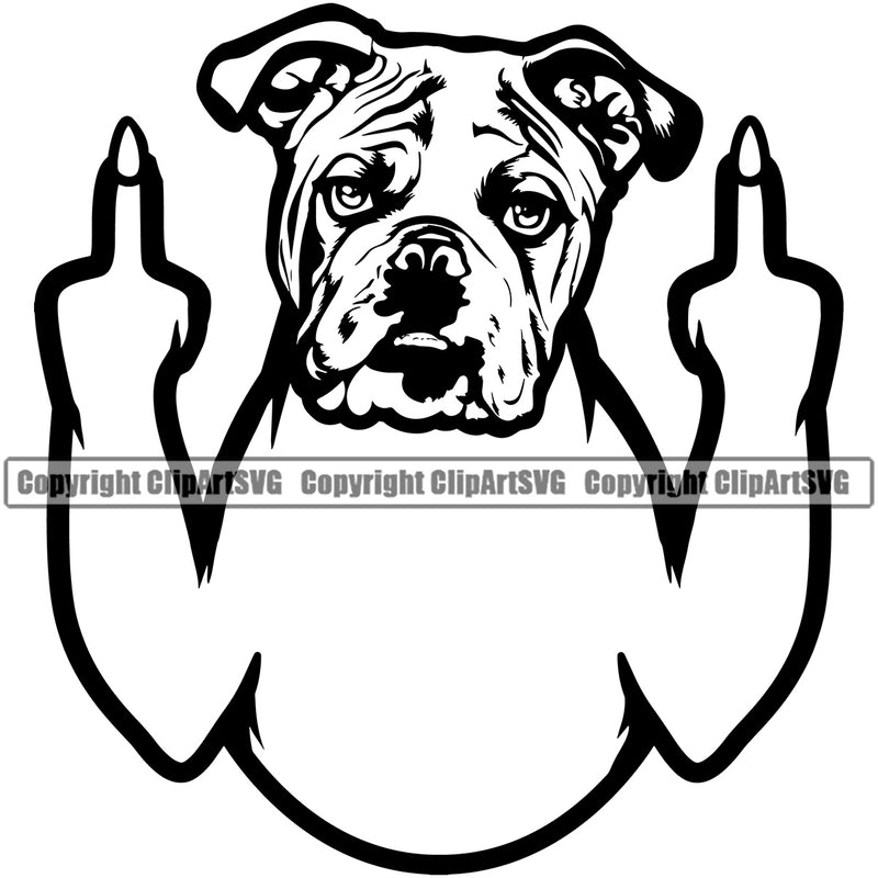 English Bulldog Show Middle Finger Head Purebred Pup Pedigree Vector Canine K-9 K9 Animal Portrait Clipart SVG