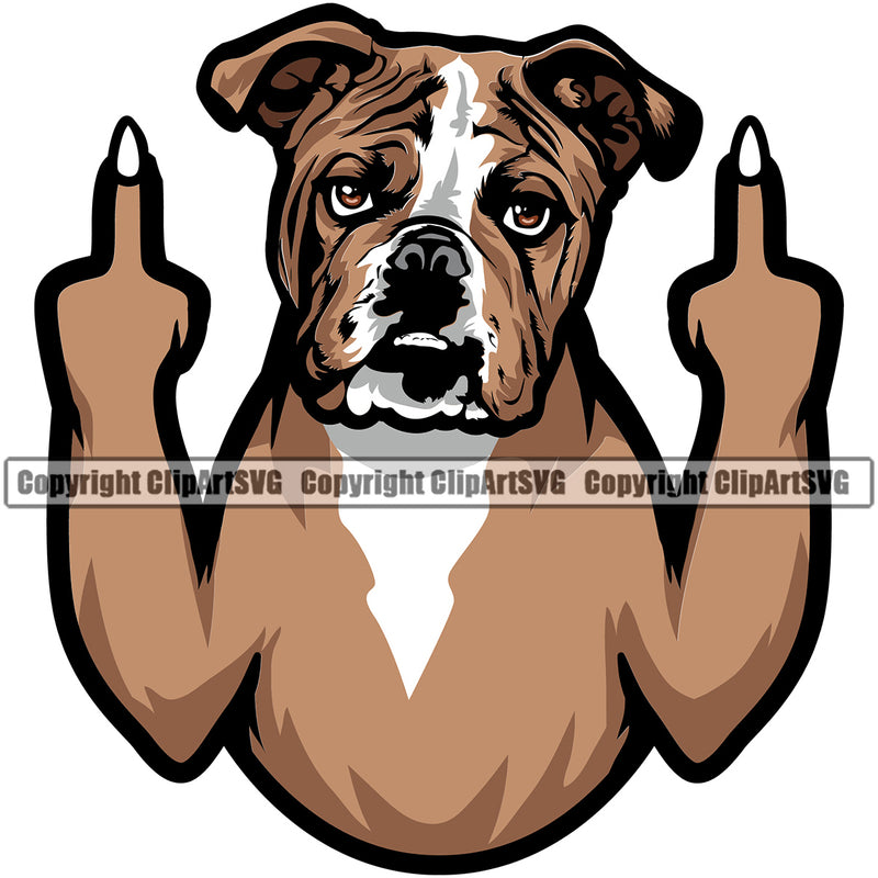 English Bulldog Middle Finger Color Body Puppy Head Purebred Pup Pedigree Mascot Canine K-9 K9 Animal Clipart SVG