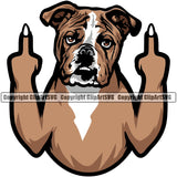 English Bulldog Middle Finger Color Body Puppy Head Purebred Pup Pedigree Mascot Canine K-9 K9 Animal Clipart SVG