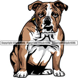 English Bulldog Sitting Animal Puppy Head Purebred Pup Pedigree Vector Canine K-9 K9 Face Cute Clipart SVG