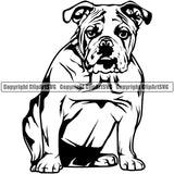 English Bull Dog Sitting Head Purebred Pup Pedigree Vector Animal Portrait Doggy Face Cute Clipart SVG