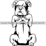 English Bulldog Color Design Begging Puppy Head Purebred Pup Pedigree Portrait Doggy Face Cute Clipart SVG