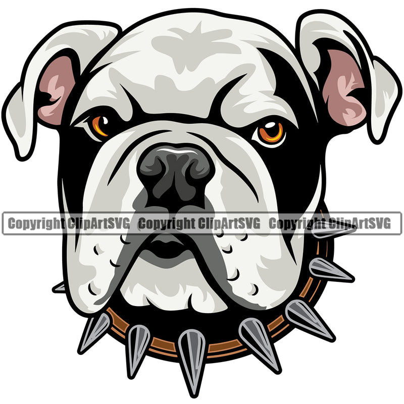 English Bulldog Color Design Portrait Doggy Face Cute Vector Puppy Head Purebred Pup Pedigree Clipart SVG