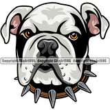 English Bulldog Color Design Portrait Doggy Face Cute Vector Puppy Head Purebred Pup Pedigree Clipart SVG