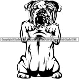English Bulldog Begging Puppy Head Purebred Pup Pedigree Vector Portrait Doggy Face Cute Clipart SVG