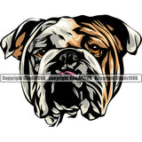 English Bulldog Head Color Design Puppy Head Purebred Pup Pedigree Vector Canine K-9 K9 Animal Clipart SVG