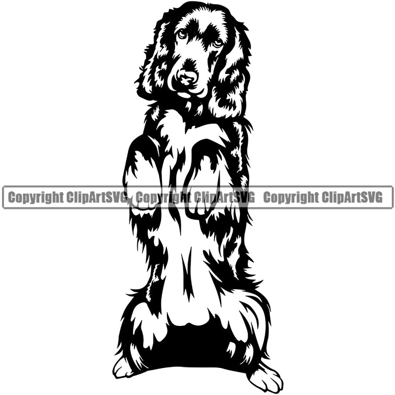 English Cocker Spaniel Dog Begging Design Puppy Head Purebred Pup Pedigree Animal Portrait Doggy Face Cute Clipart SVG