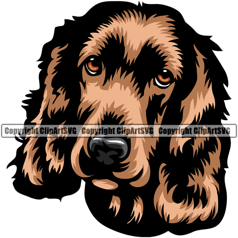 English Cocker Spaniel Dog Color Head Design Puppy Head Purebred Pup Pedigree Vector Canine K-9 K9 Animal Clipart SVG