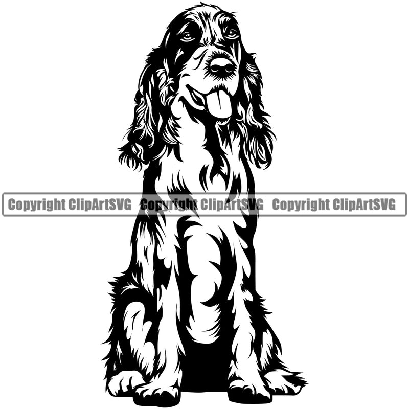 English Cocker Spaniel Dog Sitting Design Puppy Head Purebred Pup Pedigree Vector Canine K-9 K9 Animal Portrait Clipart SVG