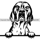 English Pointer Dog Peeking Design Head Purebred Pup Pedigree Vector Canine K-9 K9 Animal Portrait Clipart SVG