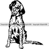 English Setter Dog Sitting Design Puppy Head Purebred Pup Pedigree Vector Canine K-9 K9 Animal Clipart SVG