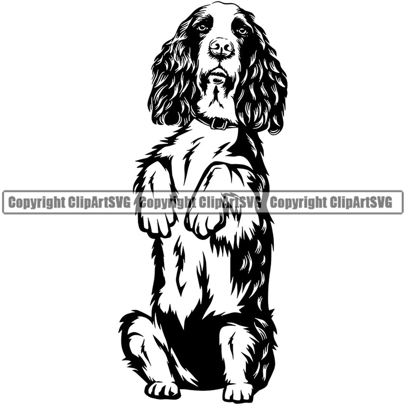 English Springer Spaniel Dog Begging Design Puppy Head Purebred Pup Pedigree Canine K-9 K9 Animal Portrait Clipart SVG