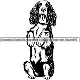 English Springer Spaniel Dog Begging Design Puppy Head Purebred Pup Pedigree Canine K-9 K9 Animal Portrait Clipart SVG