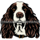 English Springer Spaniel Dog Color Head Design Puppy Head Purebred Pup Pedigree Vector K9 Clipart SVG