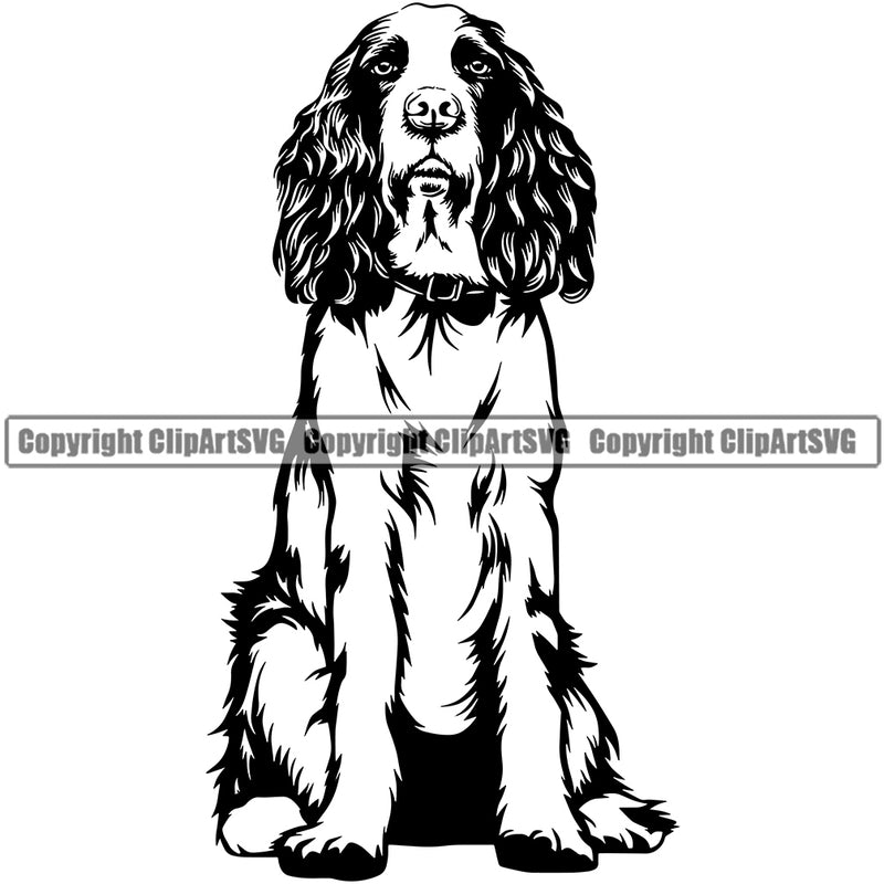 English Springer Spaniel Dog Sitting Design Puppy Head Purebred Pup Pedigree Canine K-9 K9 Animal Clipart SVG