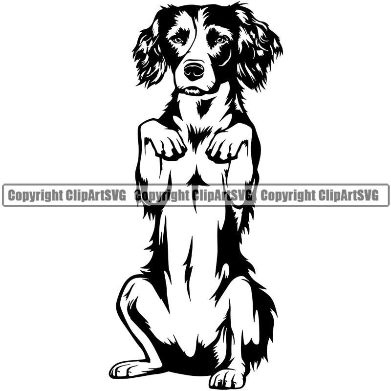 English Springer Spaniel Dog Begging Design K9 Animal Portrait Doggy Body Head Purebred Pup Pedigree Clipart SVG