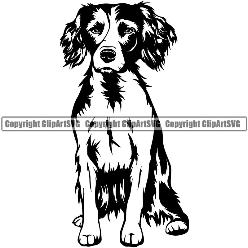 English Springer Spaniel Dog Sitting Design Head Purebred Pup Pedigree Vector Canine K-9 K9 Animal Portrait Clipart SVG