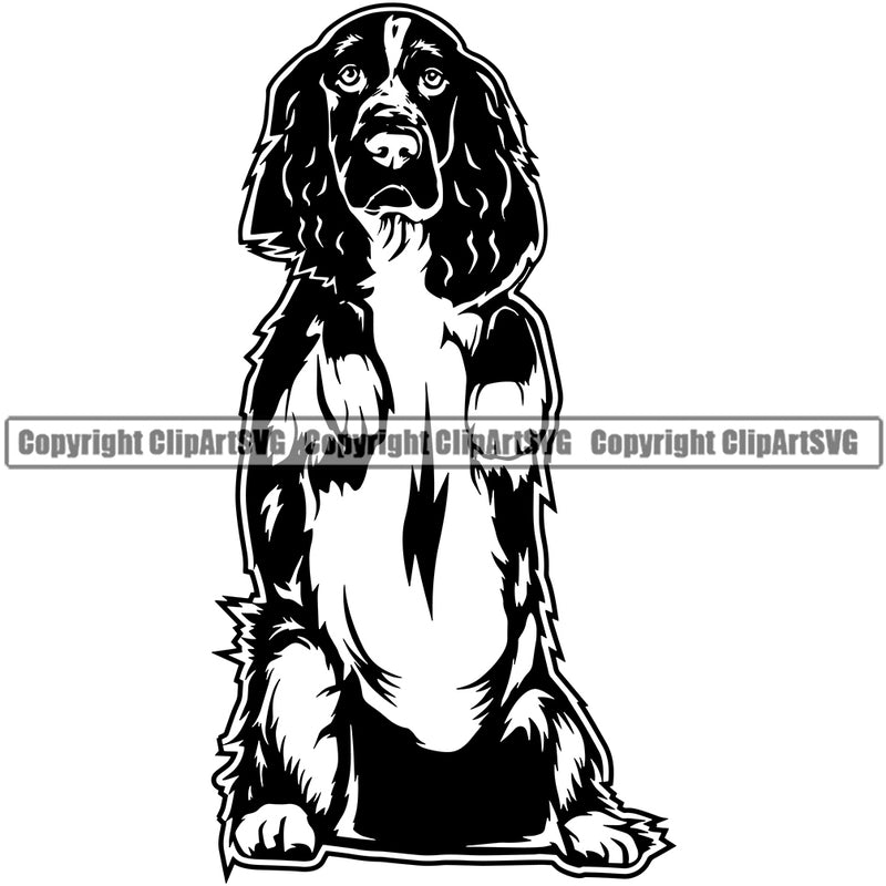 English Springer Spaniel Dog Begging Design Puppy Head Purebred Pup Pedigree Vector Canine K-9 K9 Animal Clipart SVG