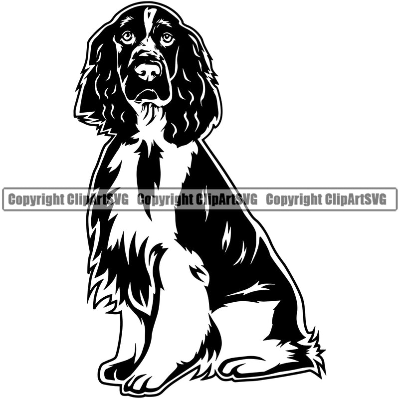 English Springer Spaniel Dog Sitting Design K9 Animal Portrait Doggy Body Puppy Head Purebred Pup Pedigree Clipart SVG