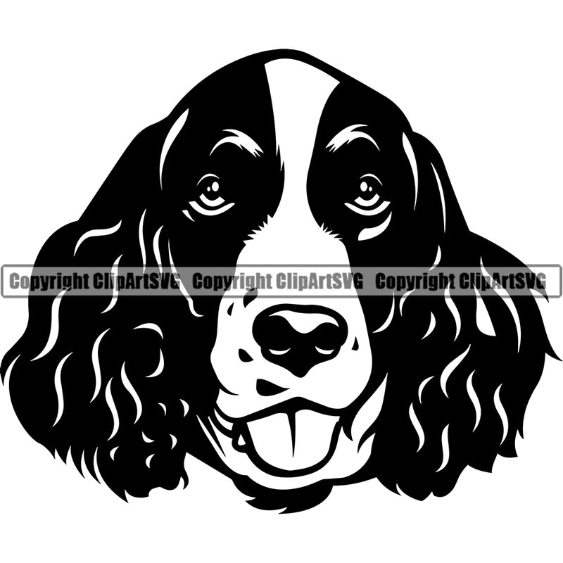 English Springer Spaniel Dog Cute Head Design Vector Puppy Head Purebred Pup Pedigree Clipart SVG