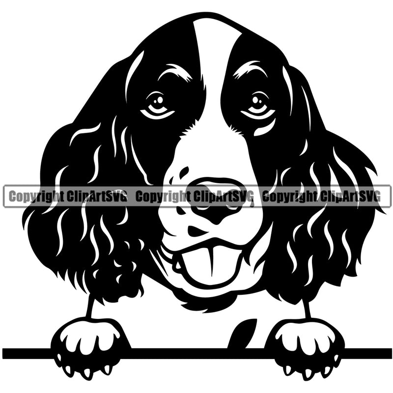English Springer Spaniel Dog Peeking Design Puppy Head Purebred Pup Pedigree Vector Portrait Doggy Face Cute Clipart SVG