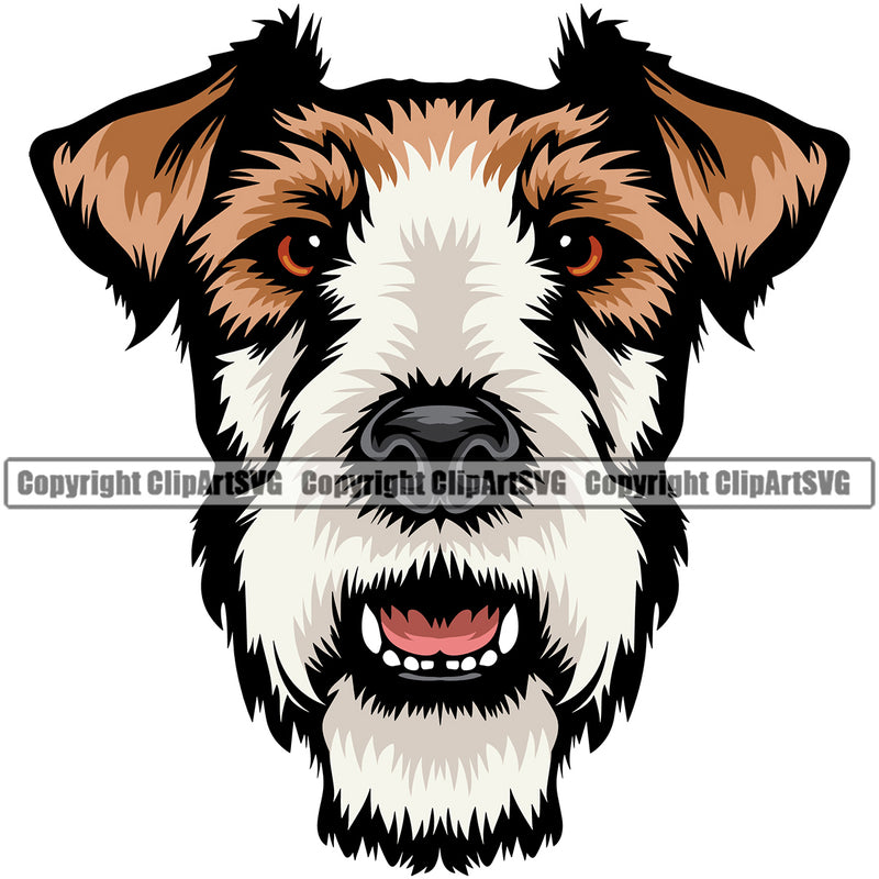 Fox Terrier Dog Color Head Design Puppy Pup Purebred Pedigree Vector K9 Animal Portrait Doggy Face Cute Clipart SVG