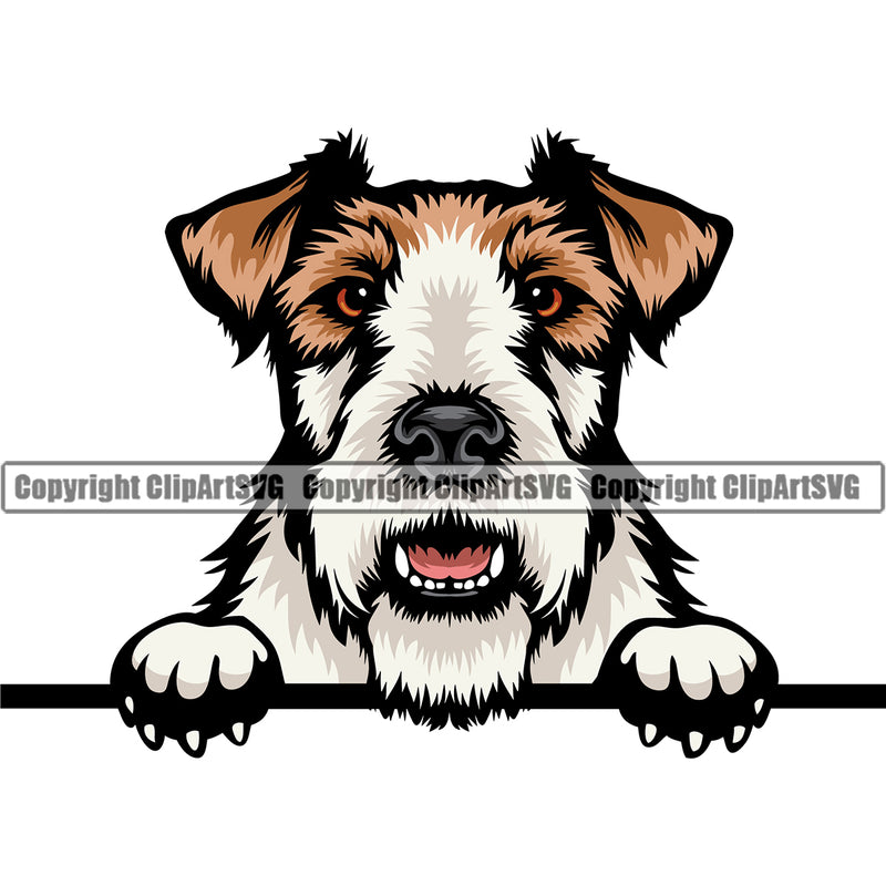 Fox Terrier Dog Peeking Design Puppy Head Purebred Pup Pedigree Vector Canine K-9 K9 Animal Portrait Clipart SVG