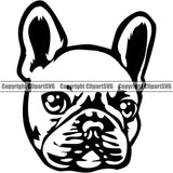 French Bull Dog Animal Head Purebred Pup Pedigree Vector Canine K-9 K9 Animal Portrait Doggy Clipart SVG