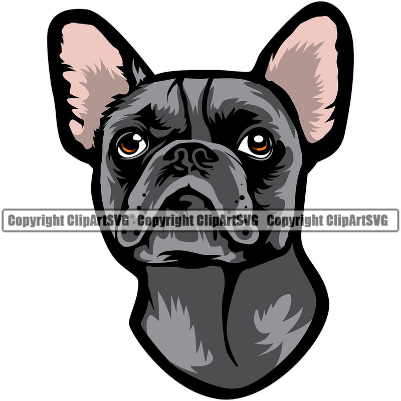 French Bull Dog Color Head Design Head Purebred Pup Pedigree Mascot Canine K-9 K9 Animal Clipart SVG