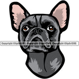 French Bull Dog Color Head Design Head Purebred Pup Pedigree Mascot Canine K-9 K9 Animal Clipart SVG