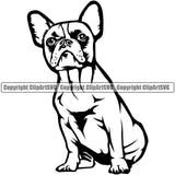 French Bull Dog Sitting Design Canine K-9 K9 Animal Portrait Doggy Vector Head Purebred Pup Pedigree Clipart SVG