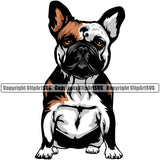 French Bull Dog Sitting Color Body Design Puppy Head Purebred Pup Pedigree Vector Animal Portrait Doggy Face Cute Clipart SVG
