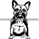 French Bull Dog Sitting Design Puppy Head Purebred Pup Pedigree Vector K9 Animal Portrait Cute Face Clipart SVG