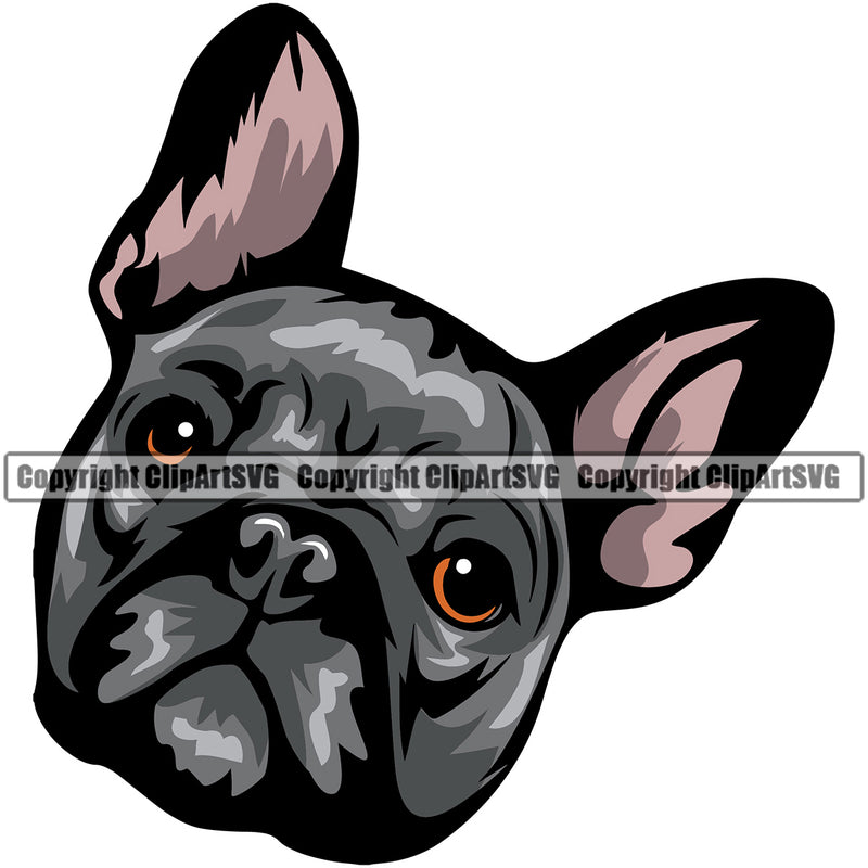 French Bull Dog Face Design Puppy Head Purebred Pup Vector Canine K-9 K9 Animal Portrait Doggy Face Clipart SVG