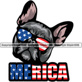 French Bulldog Wearing Sunglasses Merica Color Text Puppy Head Purebred Pup Pedigree Cute Face Clipart SVG