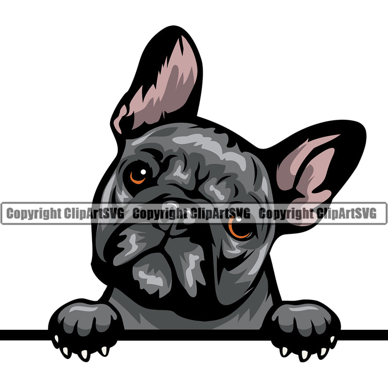 French Bulldog Peeking Design Puppy Head Purebred Pup Pedigree Doggy Face Cute Animal Clipart SVG