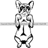 French Bulldog Begging Design Purebred Pup Pedigree Design Canine K-9 K9 Animal Portrait Doggy Clipart SVG