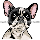 French Bulldog Color Head Animal Cute Face Dog Puppy Head Purebred Pup Pedigree Canine K-9 K9 Animal Portrait Clipart SVG
