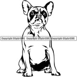 French Bulldog Sitting Design Puppy Head Purebred Pup Pedigree Vector Canine K-9 K9 Animal Portrait Doggy Clipart SVG
