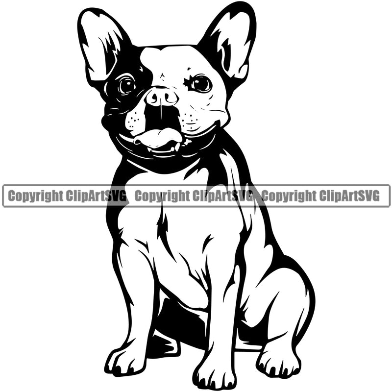 French Bulldog Sitting Design Animal Canine K-9 K9 Animal Portrait Doggy Vector Head Purebred Pup Pedigree Clipart SVG