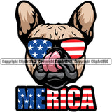 French Bulldog Wearing Sunglasses Merica Text Color Design Puppy Head Purebred Pup Pedigree K9 Clipart SVG