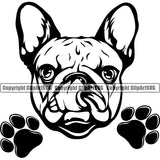 French Bulldog Peeking Design Puppy Head Purebred Pup Pedigree Vector K9 Animal Portrait Doggy Clipart SVG