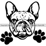 French Bulldog Peeking Cute Face Purebred Pup Pedigree Animal Canine K-9 K9 Portrait Doggy Vector Clipart SVG