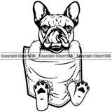 French Bulldog Hanging From Shirt Pocket Design T-Shirt Tshirt Puppy Head Purebred Pup Pedigree Vector Portrait Doggy Face Cute Clipart SVG