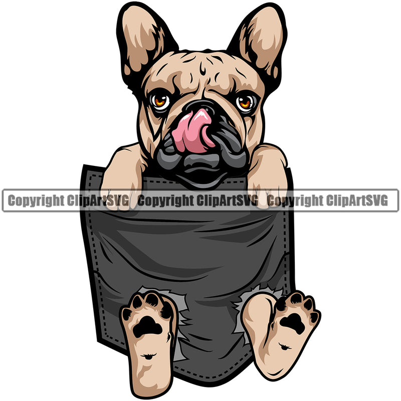 French Bulldog Hanging From Shirt Pocket Color Body Design T-Shirt Tshirt Puppy Head Purebred Pup Pedigree Clipart SVG