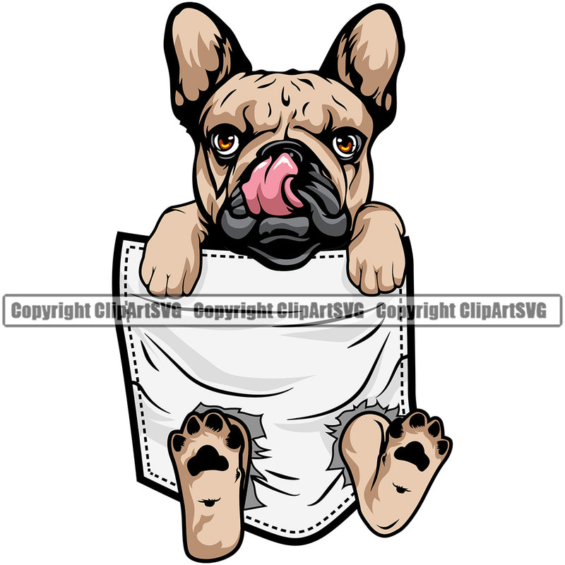 French Bulldog Hanging From Shirt Pocket Color Body Design T-Shirt Puppy Head Tshirt Purebred Pup Pedigree Vector K9 Clipart SVG