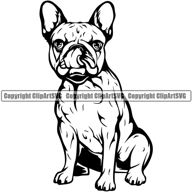 French Bulldog Sitting Design Puppy Head Purebred Pup Pedigree Vector Canine K-9 K9 Clipart SVG