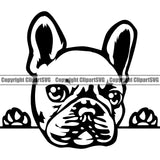 French Bulldog Peeking Design Vector Puppy Head Purebred Pup Pedigree Animal Portrait Doggy Face Cute Clipart SVG