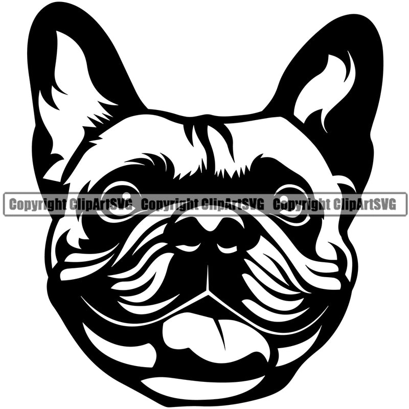 French Bulldog Head Design Cute Face Animal Puppy Purebred Pup Pedigree K9 Portrait Doggy Vector Clipart SVG