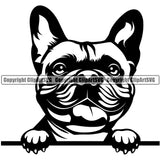 French Bulldog Peeking Design Head Purebred Pup Pedigree Vector K9 Animal Portrait Doggy Face Cute Clipart SVG